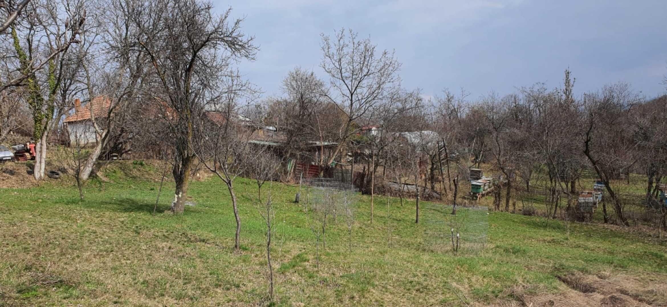 Teren intravilan str. Dealul Malului - imagine 1