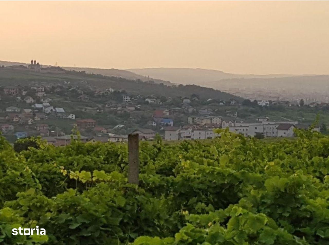 Teren 1600mp Vișan - Str. Al. Macedonski  Ideal Dezv/ Duplexuri / Bloc