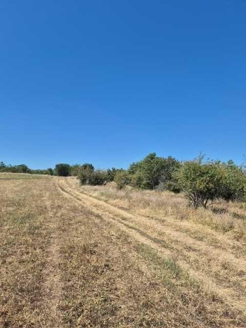 Vand teren extravilan 3 ha Livada Mare, Comuna Grebanu, jud Buzau