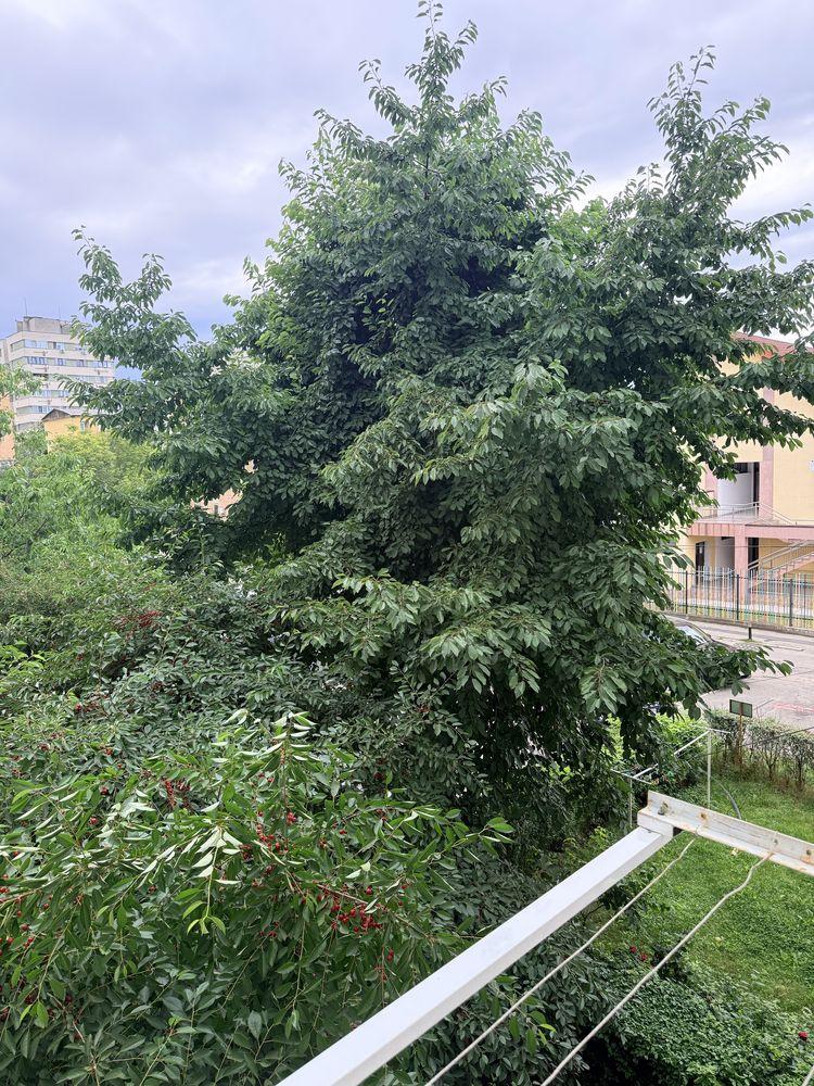 Vând apartament 3 camere decomnadat - imagine 1