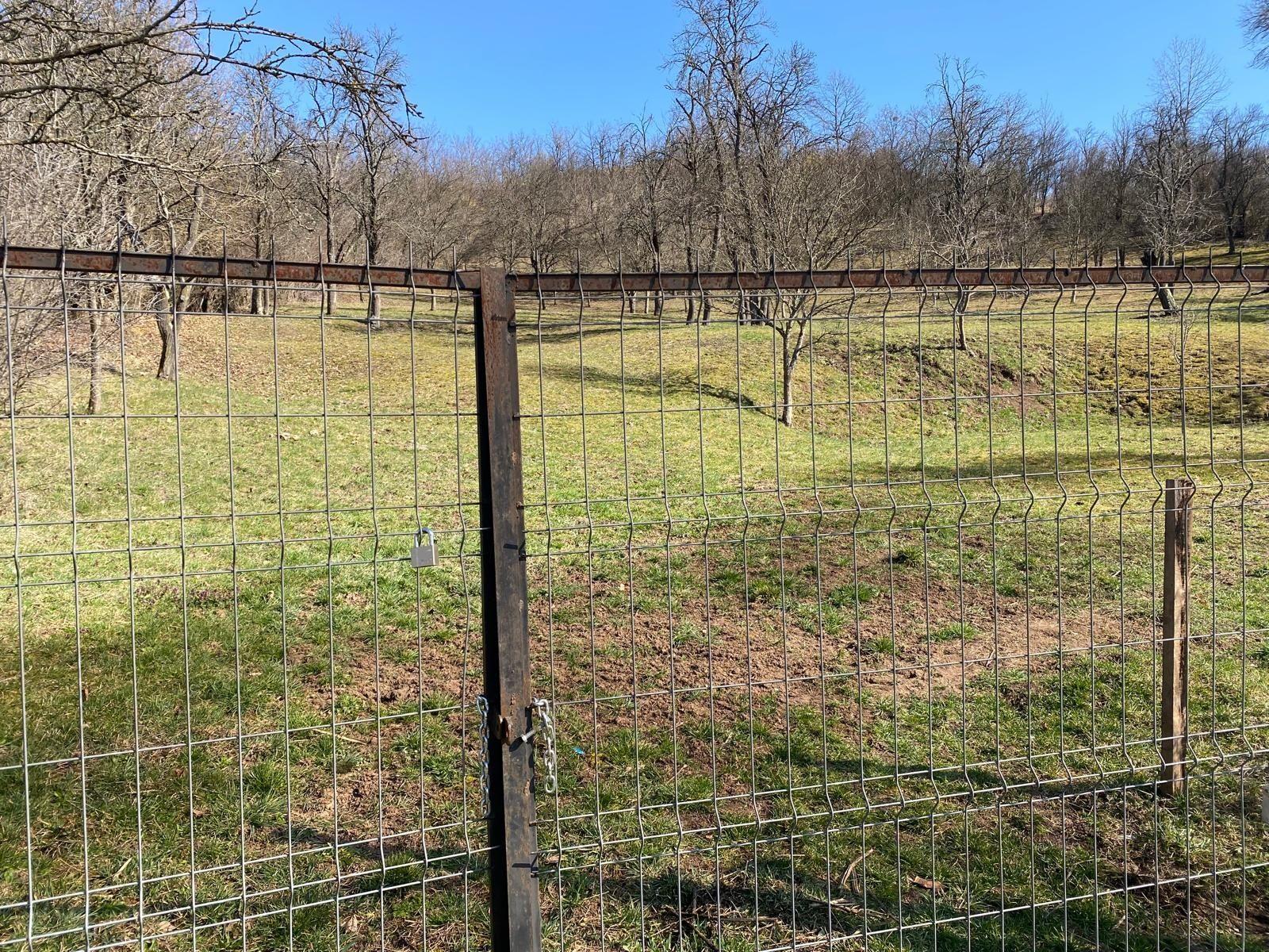 Livadă cu pomi fructiferi, teren intravilan la 50 km de Cluj-Napoca