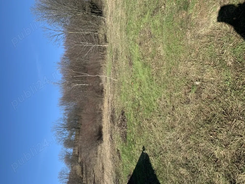 Teren intravilan 7200 m2  , strada Pădurii , zona Oncea pretabil pentru camping sau parc de aventură