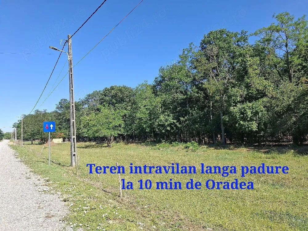 Teren intravilan langa padure la 10 min de Oradea