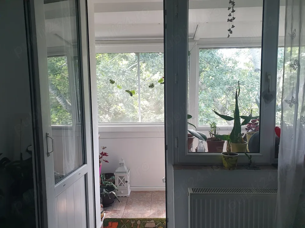 Vanzare apartament cu 2 camere Pajura