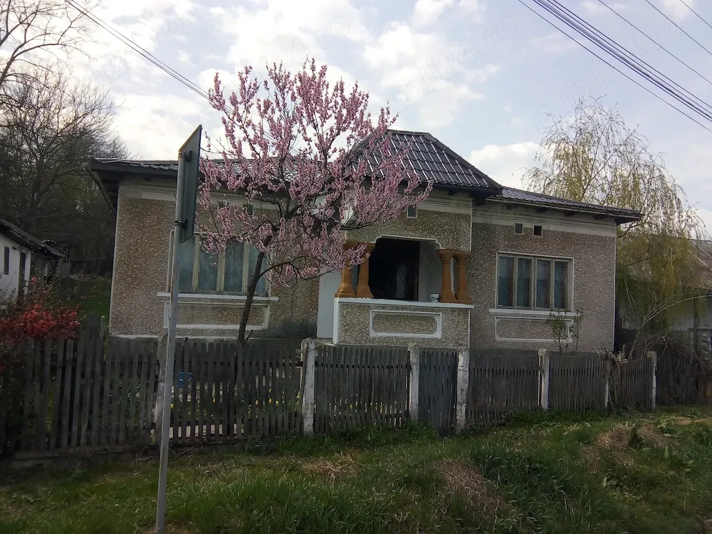 Casa de vanzare 4 camere 28.000 euro Ladesti Valcea . - imagine 1