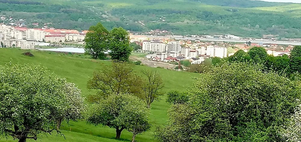 Teren intravilan  1000 mp  - zona exclusivista ! - imagine 1