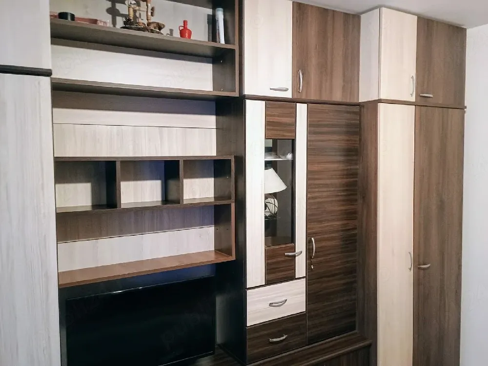apartament 1 camera