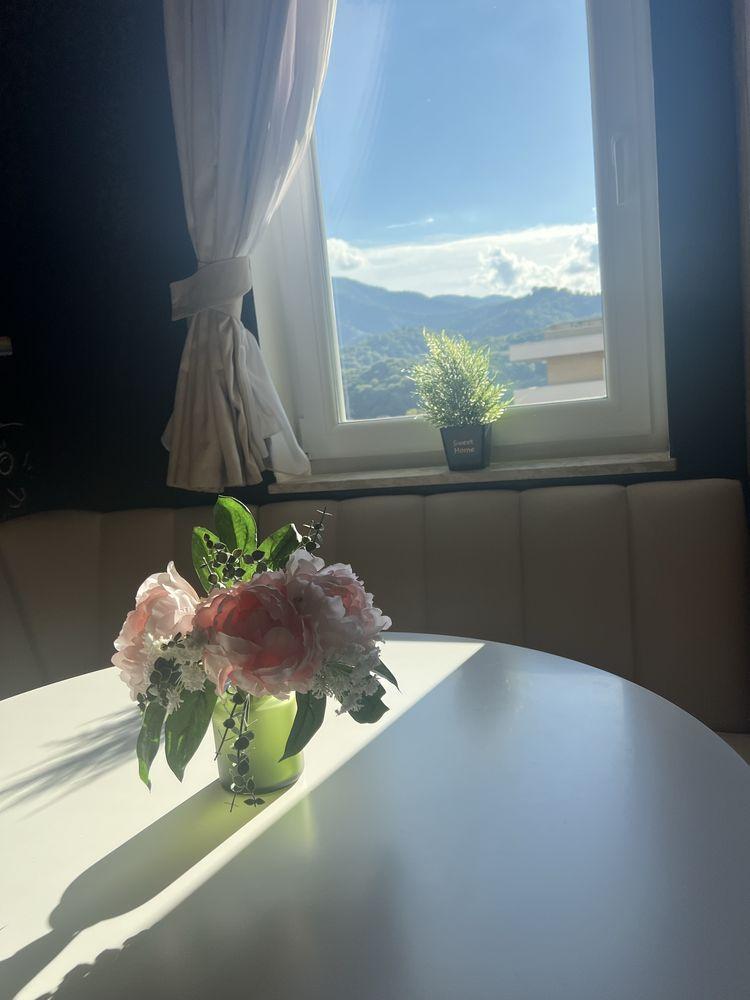 Chirie colega apartament