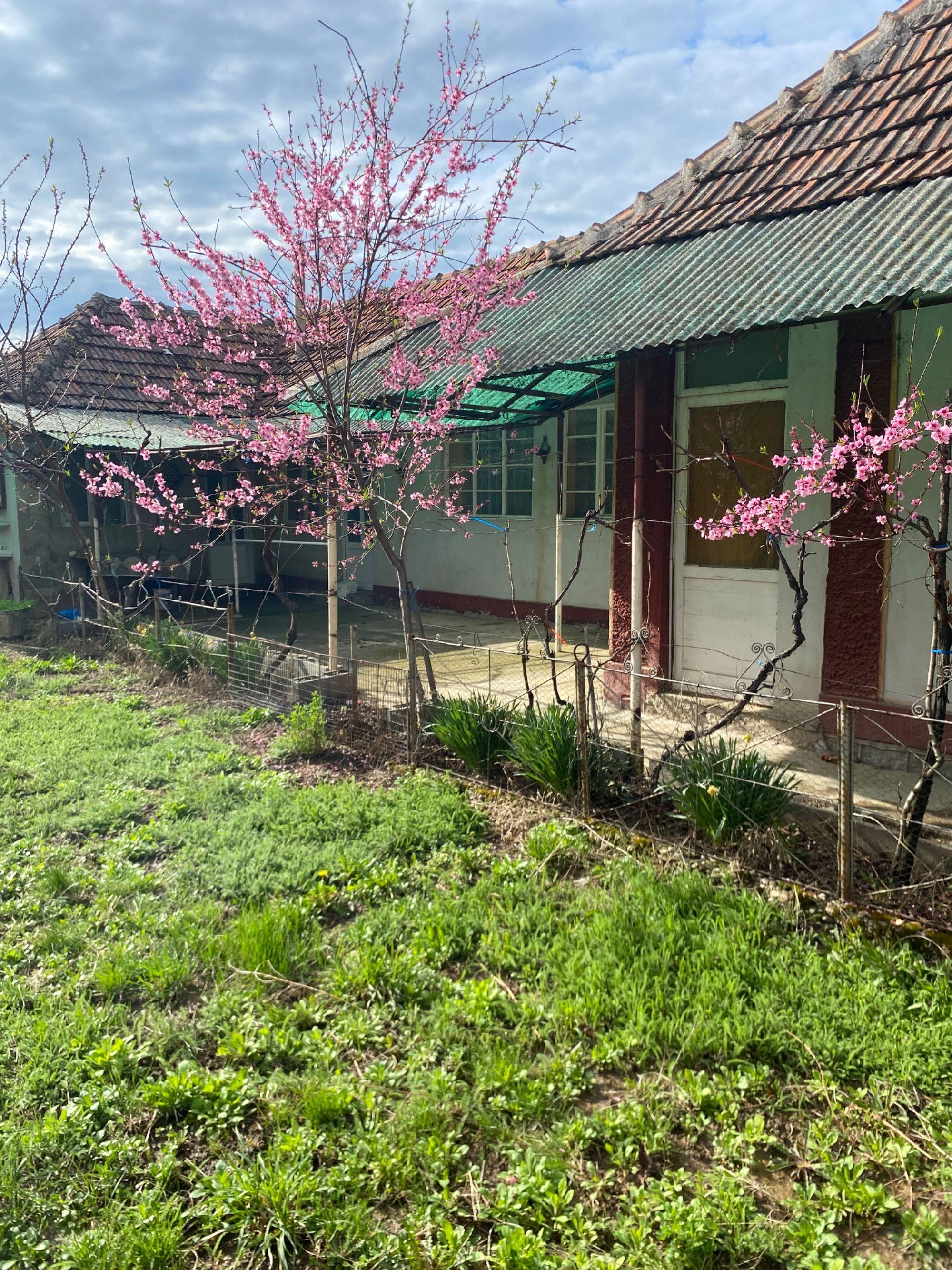 Vând casa in Cordau