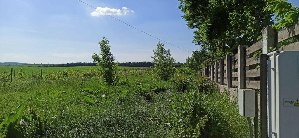Închiriere  pământ zona Lebăda Rai - imagine 1