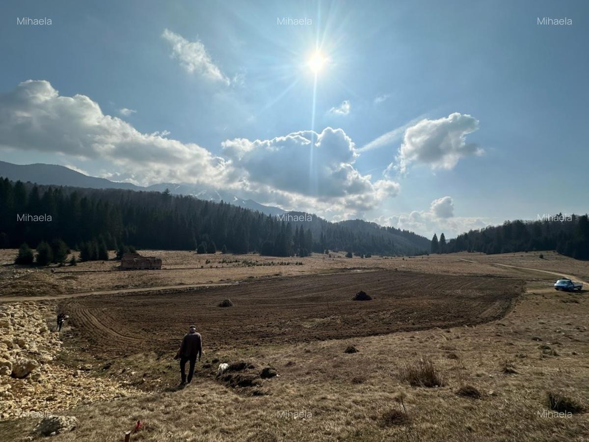 Teren de vanzare in Poiana Brasov - INTRAVILAN