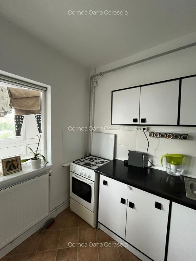 apartament o camera Moara de Foc