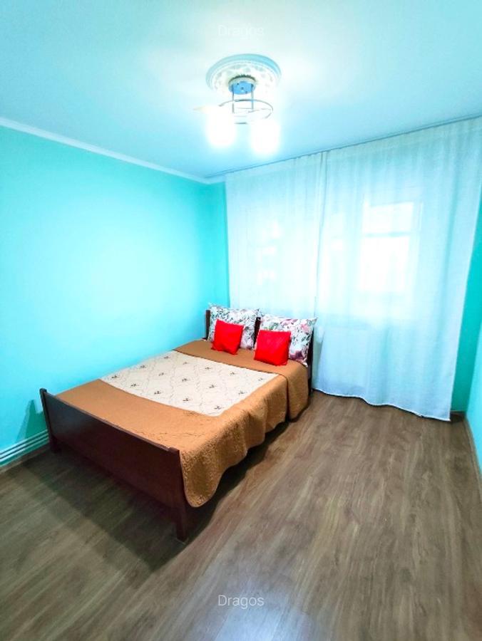 3 camera cu gradina si 2 intrari