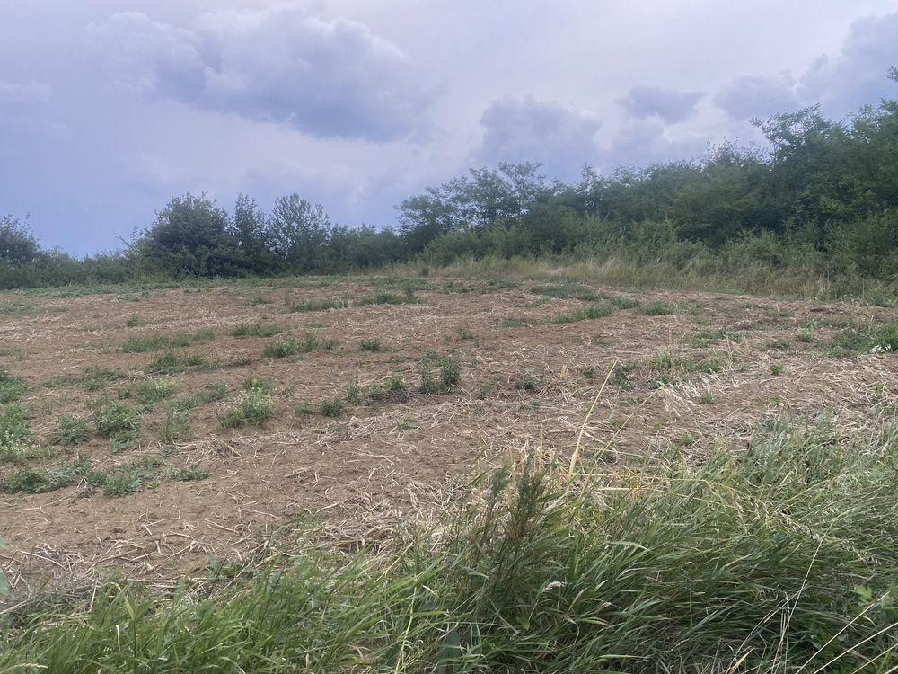 Teren watman 1500 m2