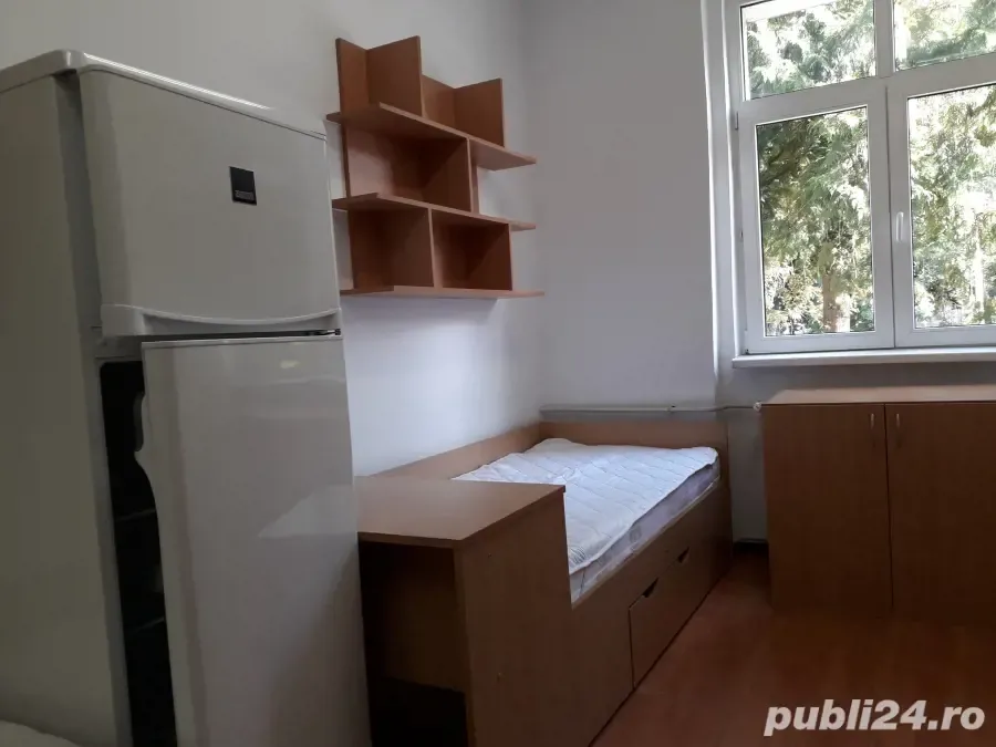 vand sau schimb camera de camin - imagine 1