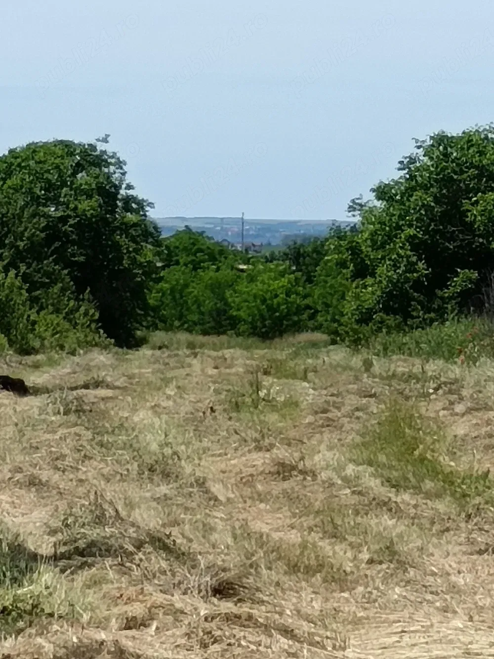 Vinzare teren intravilan, unic proprietar
