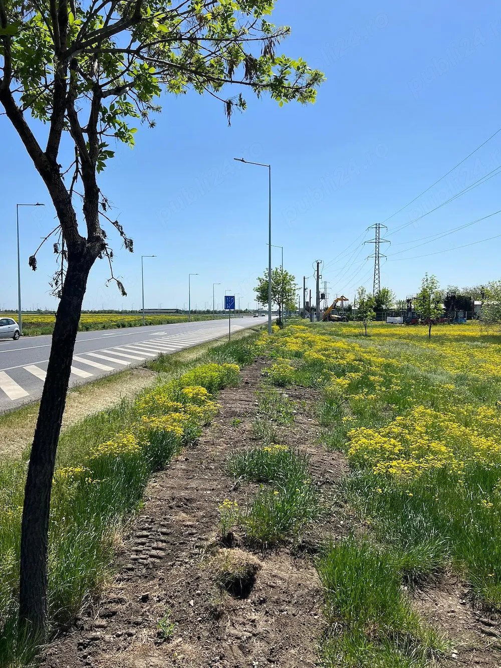 Teren intravilan de 5.000 mp in zona Autorola, comuna Vadu Pasii, sat Gura Calnaului, judetul Buzau.