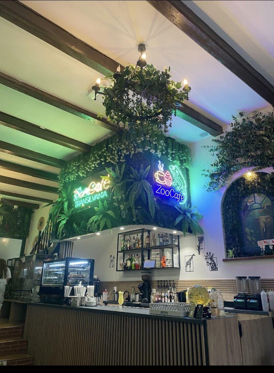 Spatiu de inchiriat Zoo Cafe Transilvania