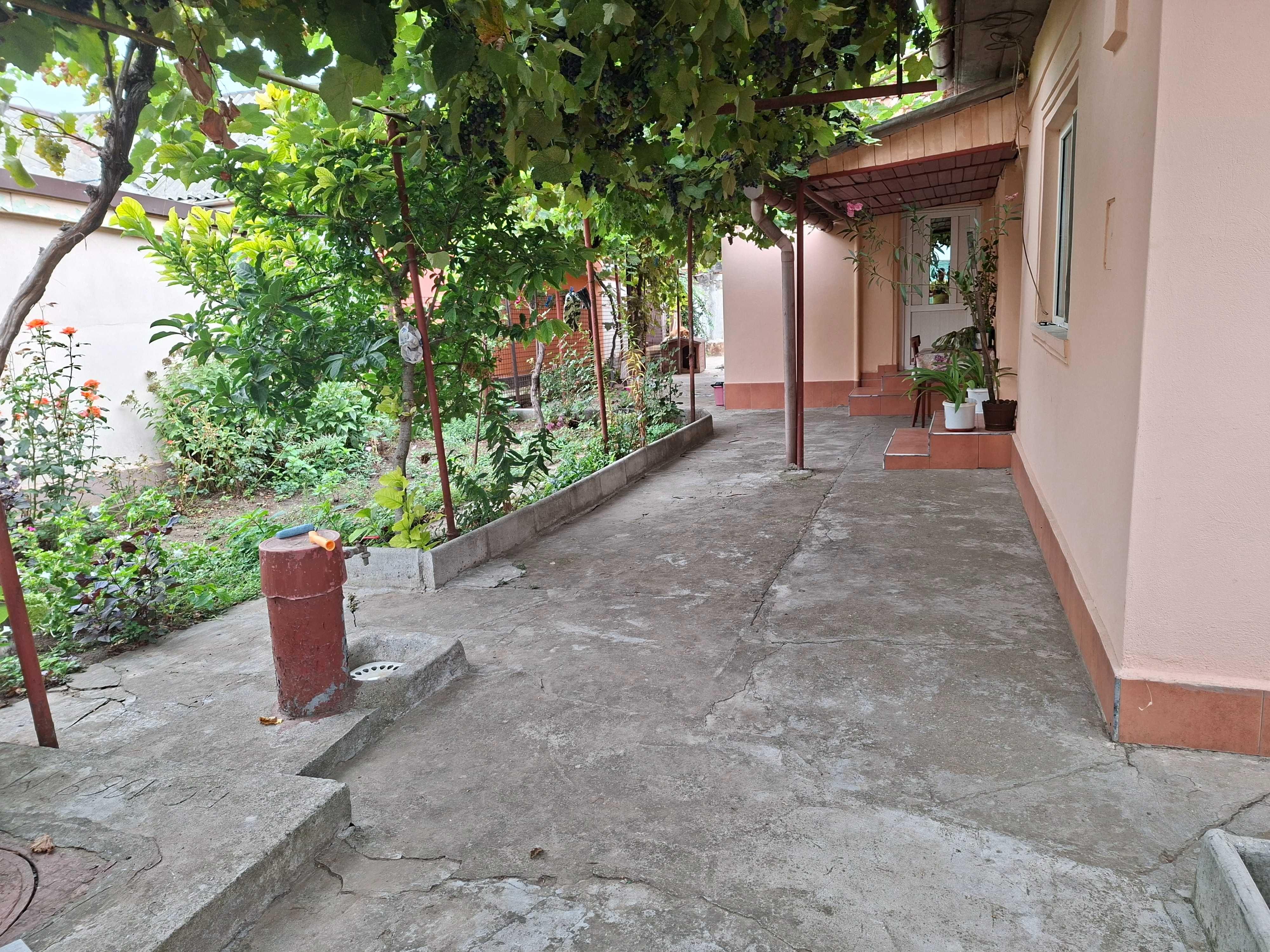 Casa Viile Noi,proprietar