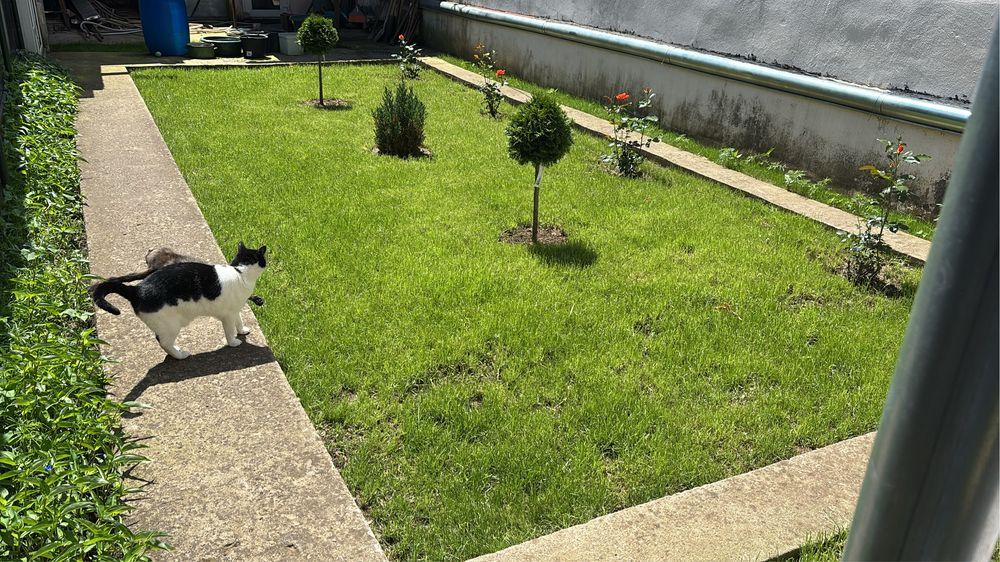 Vand/Schimb Casa 2-3 camere zona Ofelia/Balif - imagine 1
