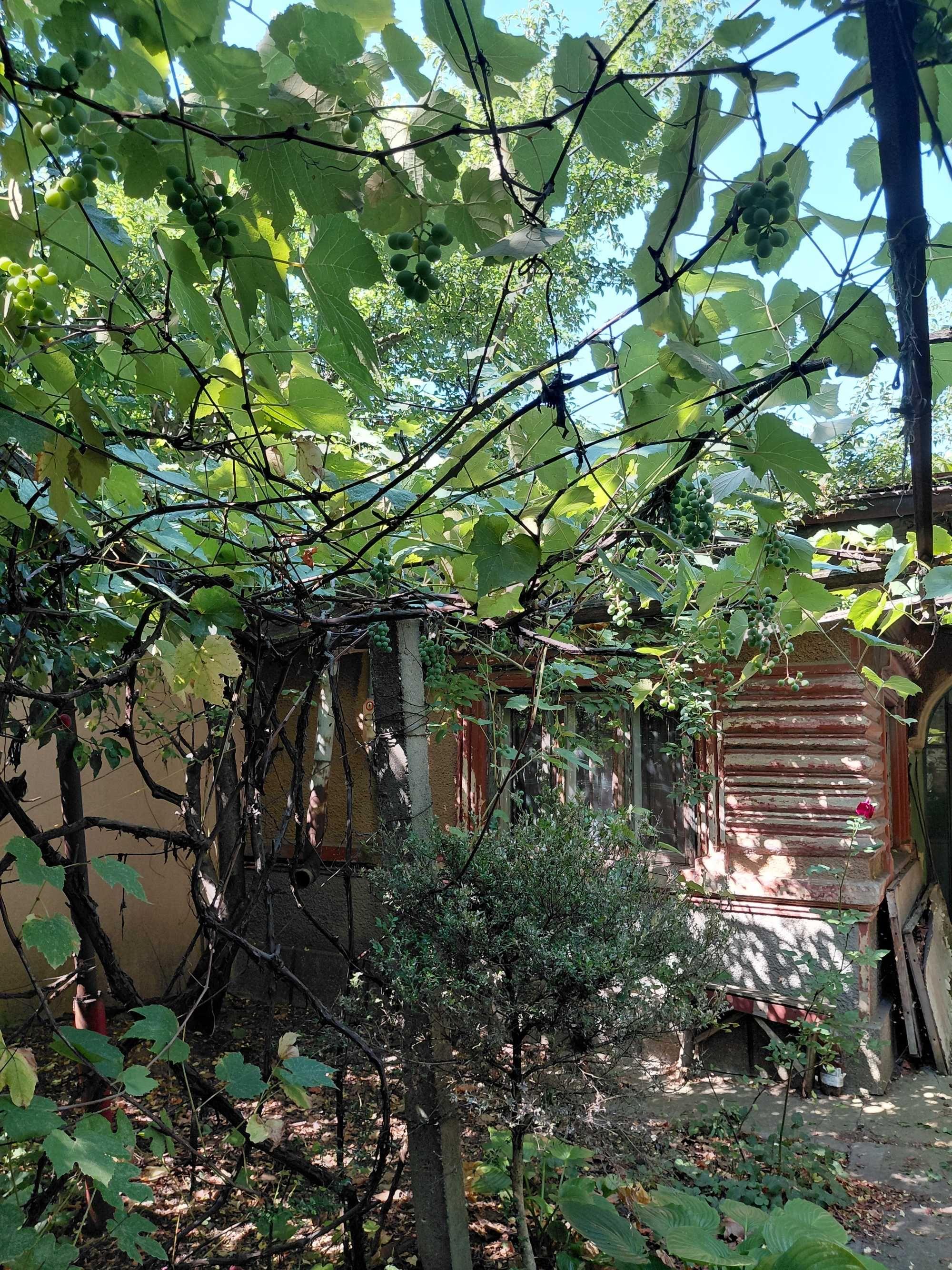 Vânzare teren cu casa demolabila pretabil constructie P+1  - Bucuresti sector 1