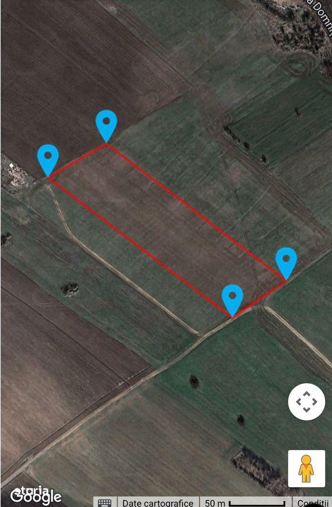 Teren de construit în zonă rurală, 12.000 mp, nepavat - imagine 1