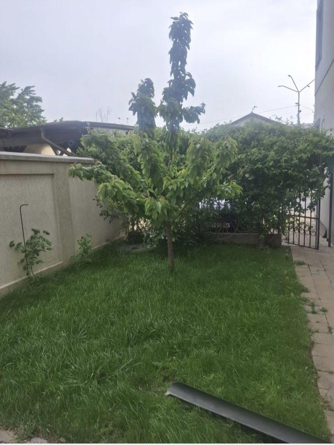 Apartament 3 camere, spațiu verde, parcare în curte