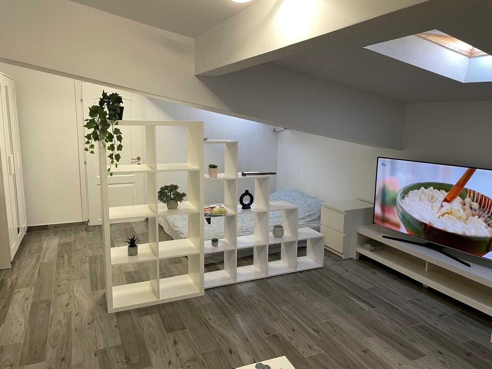 Otopeni Odai Mansarda Studio