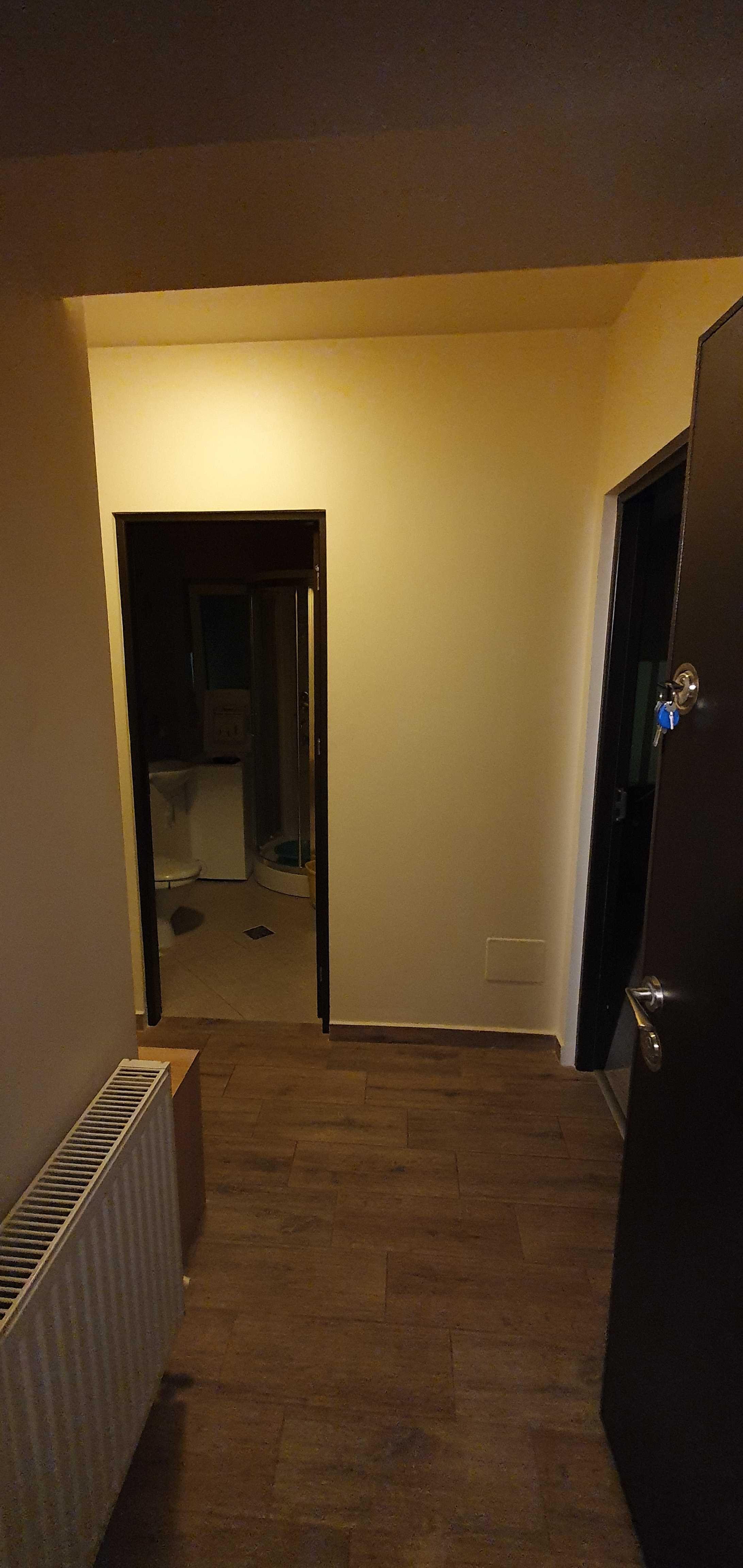 Apartament 1 Cameră decomandat de Vânzare