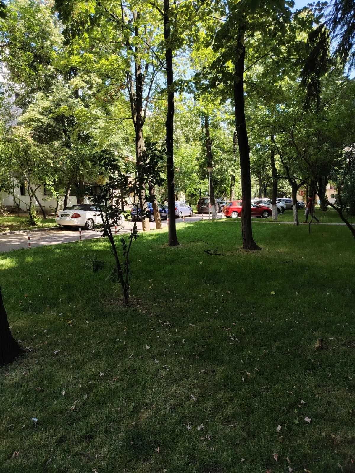 Apartament 3 Camere Podu Roș | Ideal Work from Home | Renovat, CT
