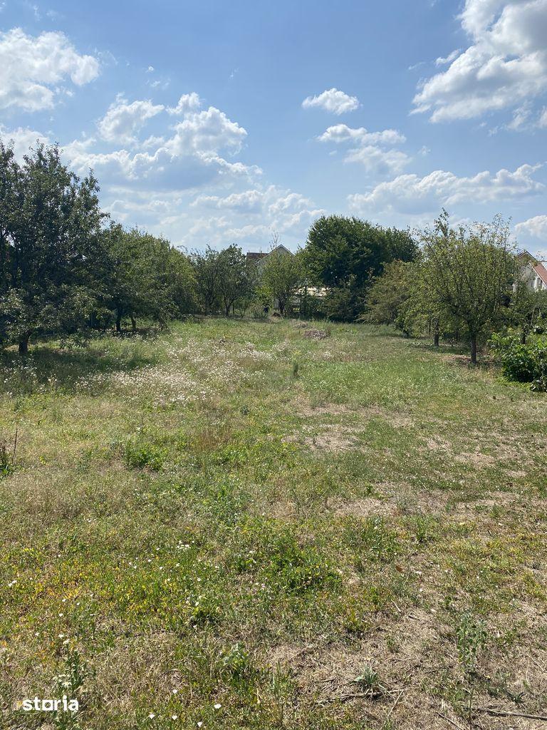 Teren intravilan in Gheraiesti, Bacau