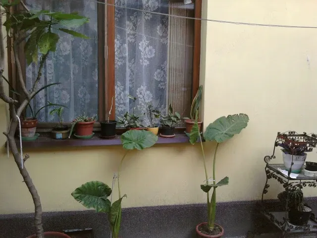 Casă de vânzare Titulescu - Grivița la preț de apartament - imagine 1