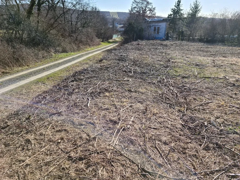 teren viile satu mare front 16m , intravilan bonus stalpi pt imprejmuire