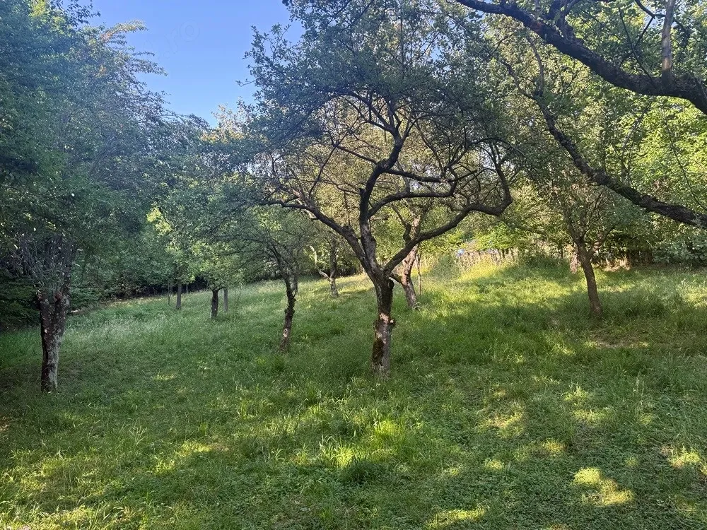 Vand teren extravilan Rasinari Cisnadioara
