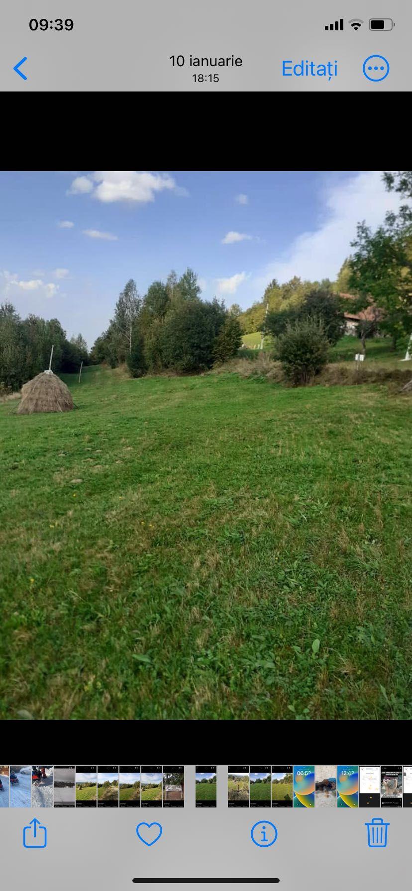 teren cabana Vladeasa -intravilan -12000 euro