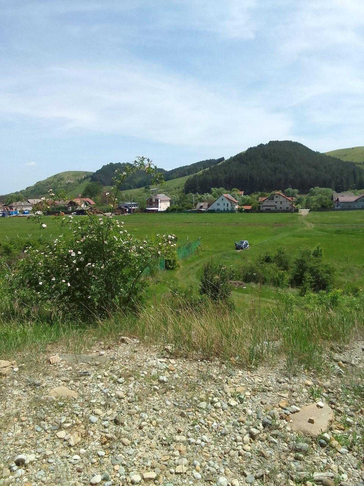 Teren parcela Luna de sus floresti cluj Extravilan