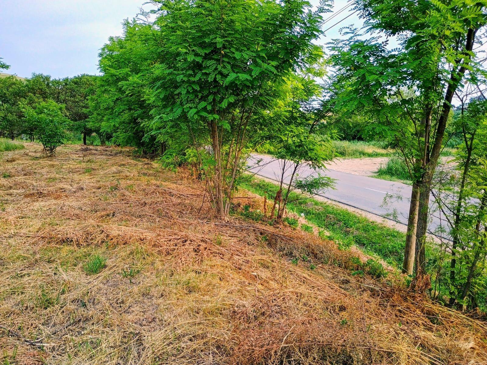 2 terenuri intravilan intre Apahida si Cojocna 35 € mp.