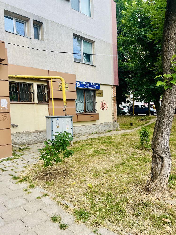Apartament 2 camere, Constanta