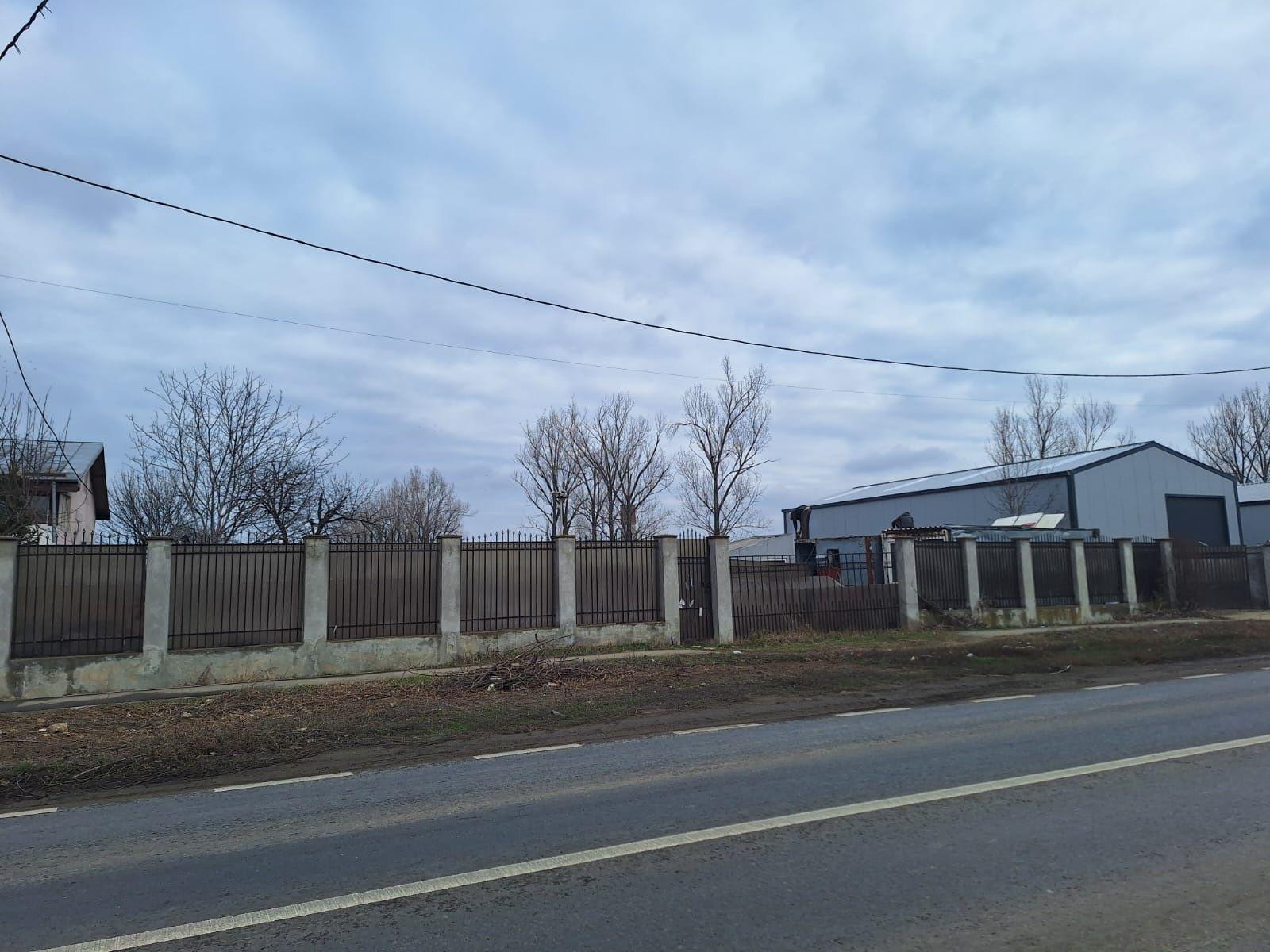 Teren Industrial/Comercial 1100mp, Deschidere 33ml la DN1A – Crevedia (Platformă betonată, Utilități)