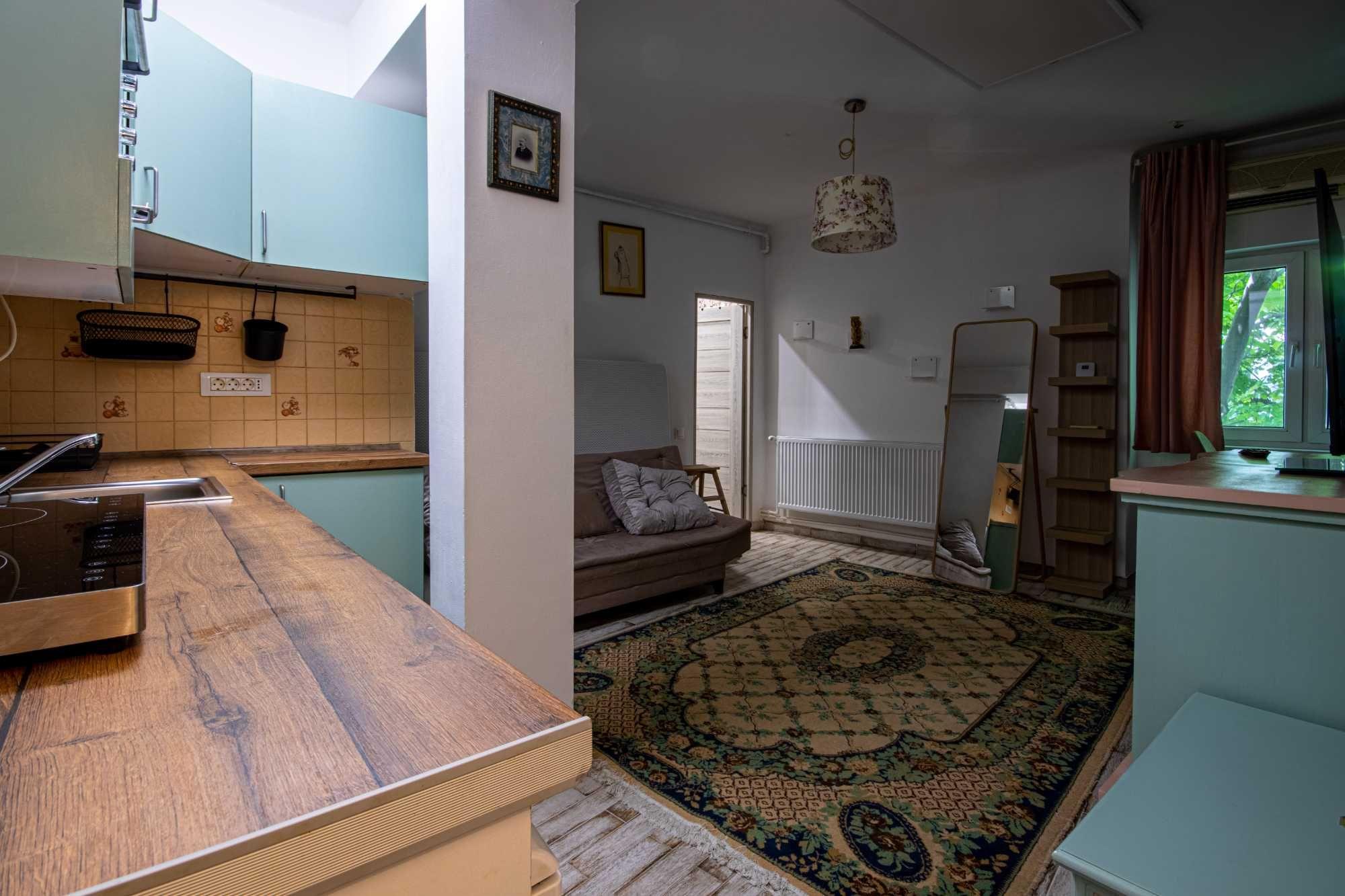 Studio Open-Space | Piata Romana | ASE | Pet Friendly