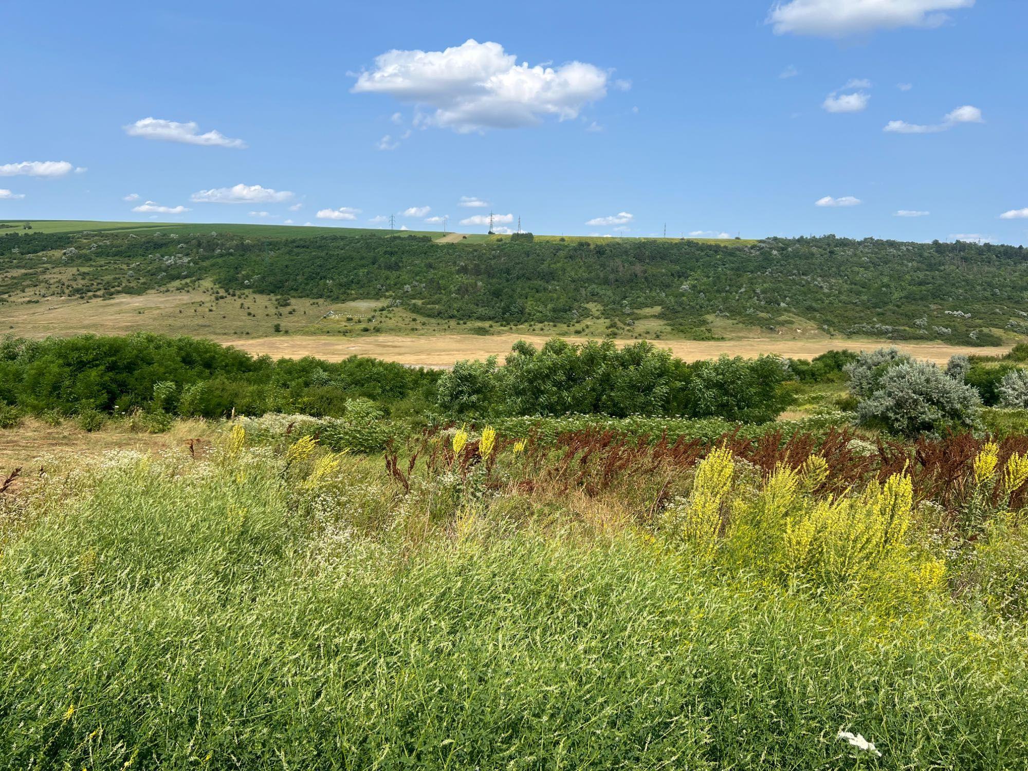 Teren Intravilan 1500 mp Iasi 5 km pana la Mihai Viteazu cel mai mic pret din zona. Oportunitate investitie