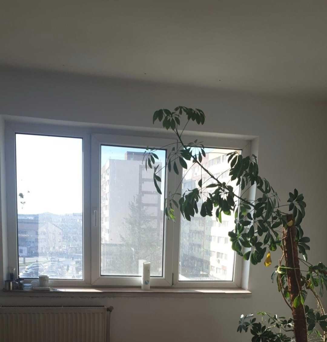 Apartament de vanzare 2 camere, Republicii - imagine 1
