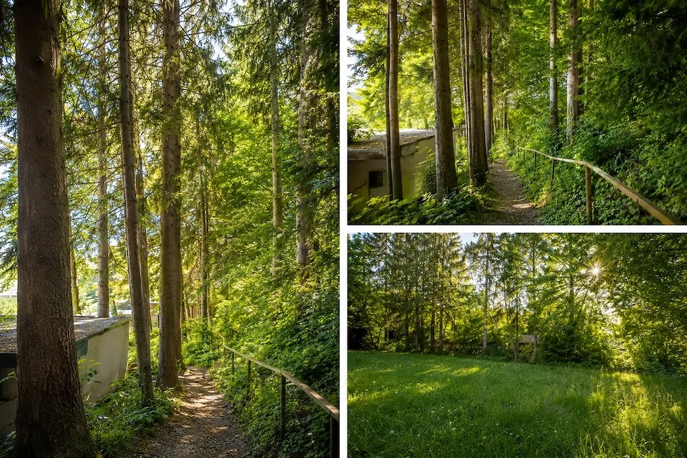 Vilă într-o oază de natură din centrul Brașovului | 180 mp | Teren 360 mp  | Terasă panoramică