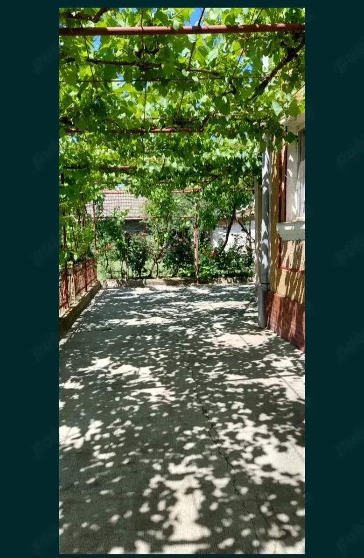 Casa de inchiriat