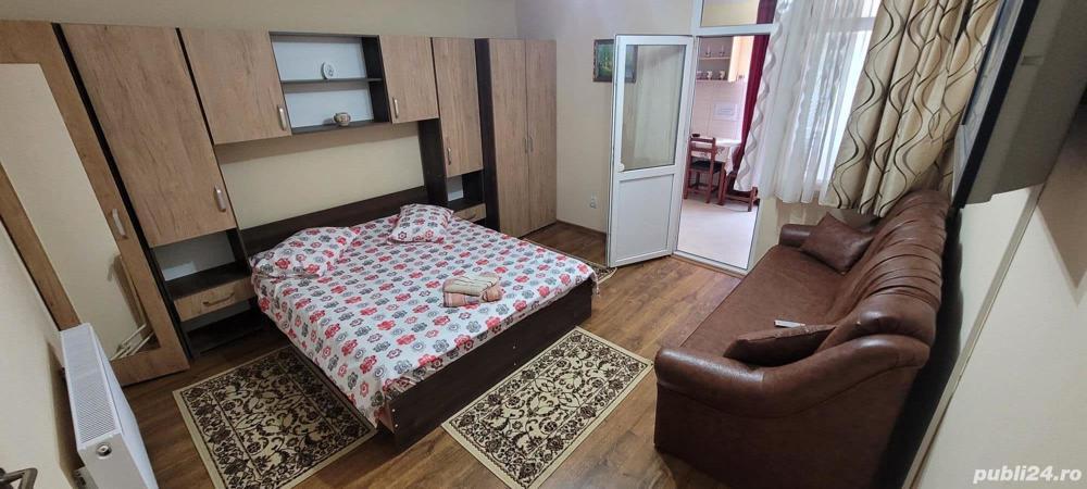 Regim hotelier apartamente 1 camera - imagine 1