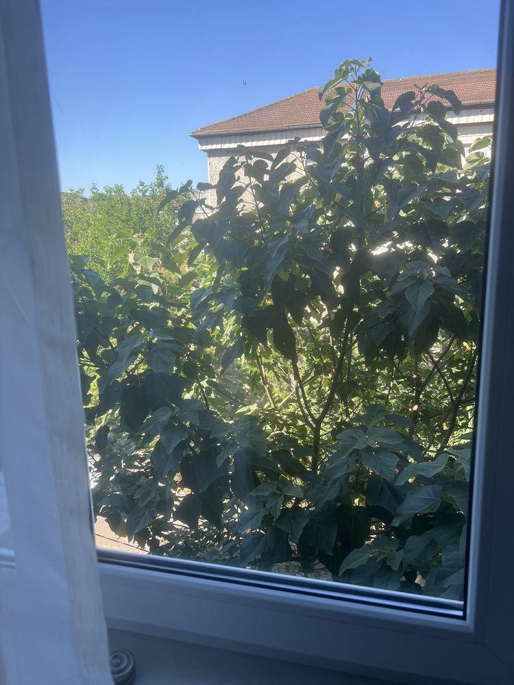 Apartament 3 camere de vanzare - imagine 1