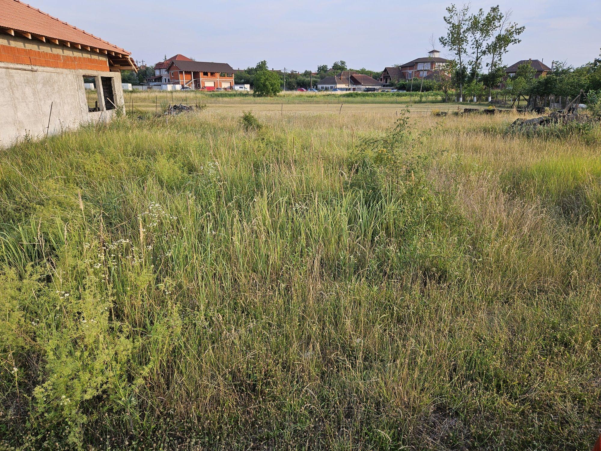 Teren 600 mp de vânzare în Tileagd