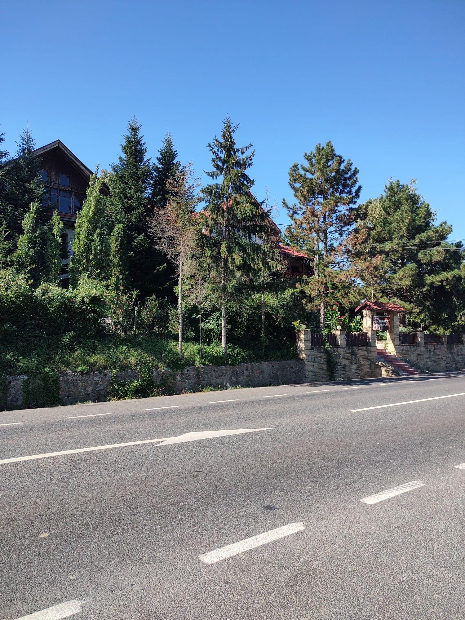 Copou-teren 1300 mp.intravilan Iași