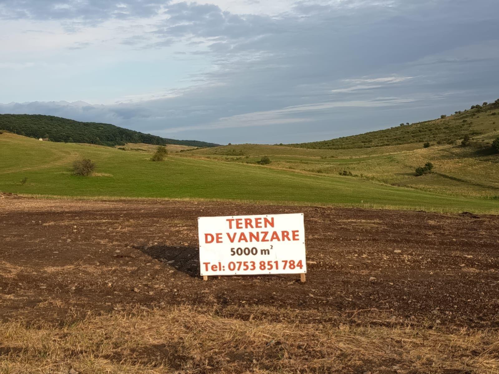 Teren construibil intravilan 5.000 mp parcelat în 2400mp + 2000mp cu drum- Piatra Neamț - imagine 1