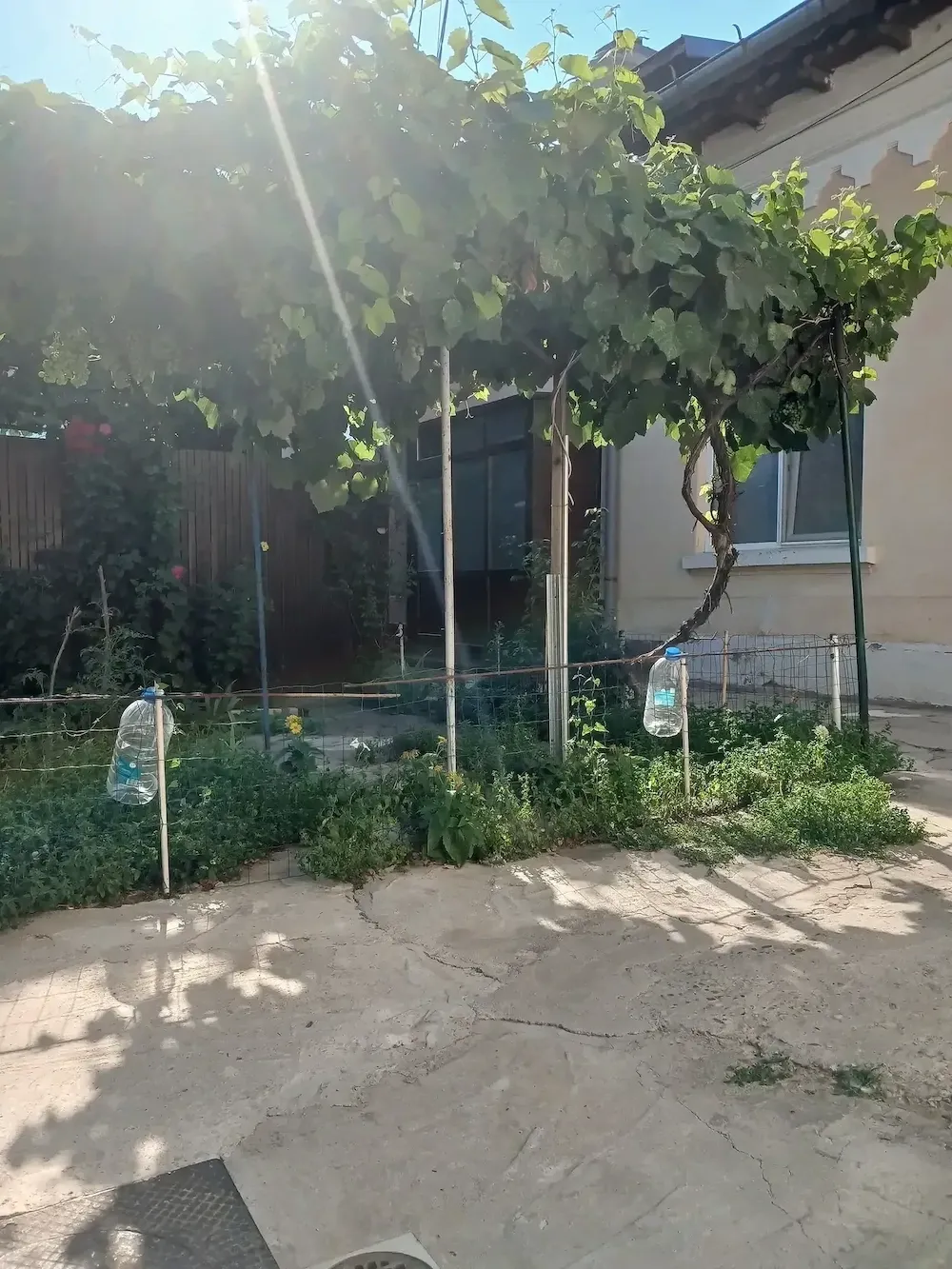 Casa Centru de vanzare